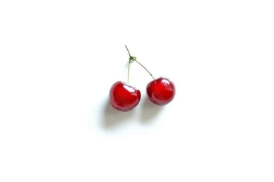 Download Wallpapers Cherry On White Backgrounds (1600 X 1200 ...