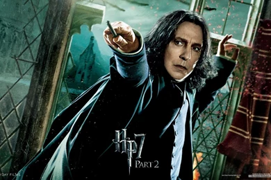 Free Wallpapers   Free Movie Wallpapers   Harry Potter And The ...