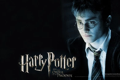Download Harry Potter Movie Wallpapers : 404 Creative Studios