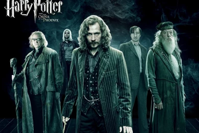 Desktop Wallpapers   Harry Potter The Order Phoenix, Sirius Black ...