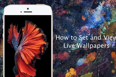 How To Set Live Wallpapers On iPhone 6s And iPhone 6s Plus   YouTube