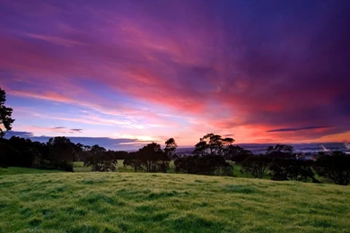 Nature Android Wallpapers 03