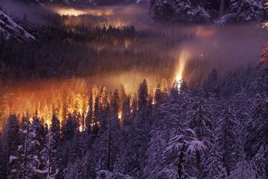Yosemite Valley At Night   Traveler Photo Contest 2013   National ...
