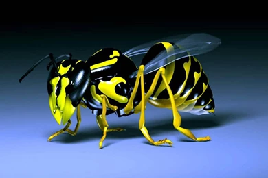 3D & Abstract Archives   Page 2 Of 2   Free Wallpapers Full Hd ...