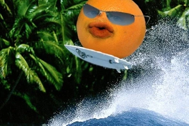 Annoying Orange Wallpapers   Wallpapers Cave