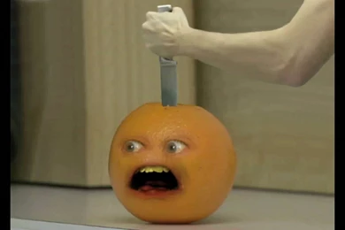 Annoying Orange Death   YouTube