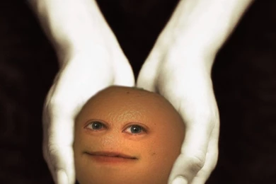 DeviantArt: More Like The Annoying Orange By Prikinomoto