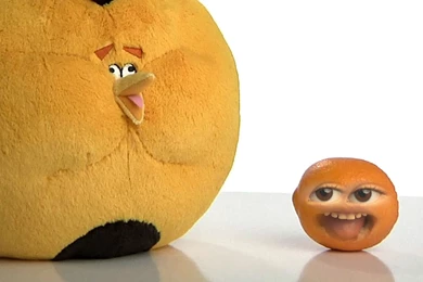 EvanTubeHD: Evan's Little Annoying Orange Debut!
