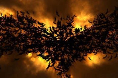 The Dark Knight Rises Batman Logo Abstract Wallpapers