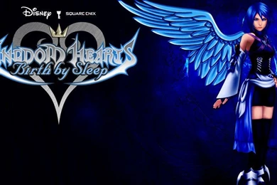 Kingdom Hearts Birth By Sleep Favourites By Mariogalaxyfan On ...