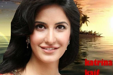 New katrina kaif wallpapers 2013 8017.jpg