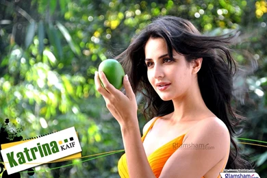 Katrina Kaif High Resolution Image 29798   Glamsham.
