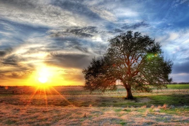 Sun Rising In The Land Area Wallpapers   O
