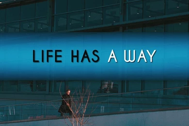 Comedy, Wallpapers, Man, Photo, Solitary (