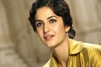 Katrina Kaif Hindi Wallpaper, Katrina Kaif Desktop Picture ...