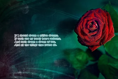 Love Poem Wallpapers   All Wallpapers New