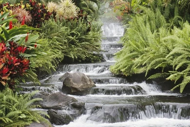 Great Waterfall Wallpapers