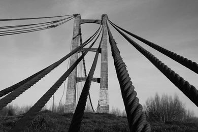 Photography   Page 222