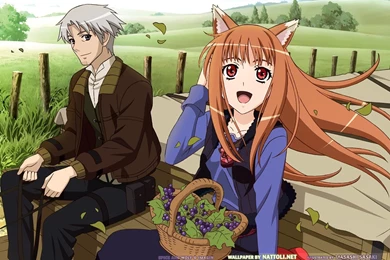 Spice And Wolf, Animal Ears, Craft Lawrence, Holo The Wise Wolf ...