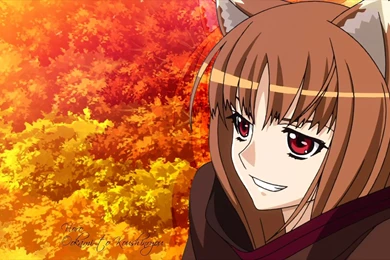 Holo Wallpapers   Wallpapers Cave