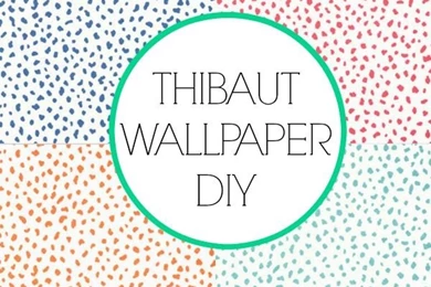 Honey We're Home: Painted Closet Walls