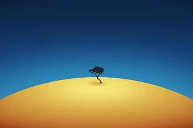 Free Wallpapers: Windows Hd Wallpapers Free Download