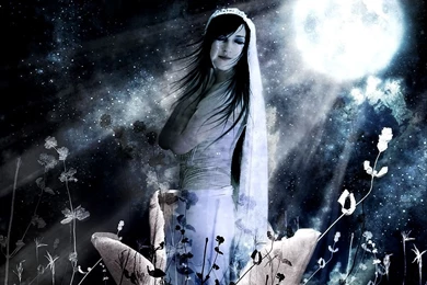 Moonflower: Wallpapers By Sensory ghost On DeviantArt