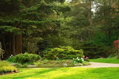 Free Garden Wallpapers For Computer 29 Decor Ideas   EnhancedHomes.org