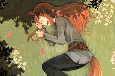 Spice And Wolf Ookami Holo The Wise Wallpapers   (