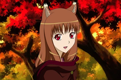 Just Akemi...: Spice And Wolf Wallpapers