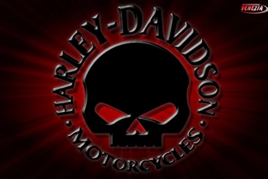 Harley Davidson Logo Wallpapers Free Download   Latest Wallpapers