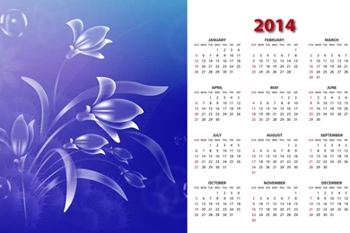 Abstract Spring Flower HD New Images Of 2014