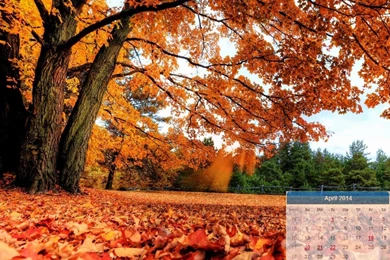 April 2014 Calendar Hd Wallpapers New