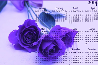 Lovely Purple Rose Flower 2014 Calendar HD Wallpapers Free Download