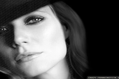 Gwyneth Paltrow Wallpapers   Female Celebrity   Crazy Frankenstein