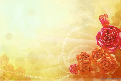 New Rose Flower Backgrounds Wallpapers – Windows 10 Wallpapers