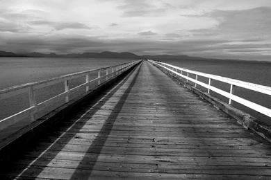 1920x1080px Cute Grayscale Image