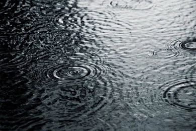 768x1024 Grayscale Rain Ipad Mini Wallpapers