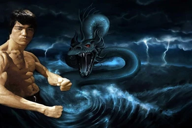 Bruce Lee Wallpapers   Wallpapers Cave