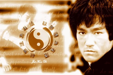 Bruce Lee Wallpapers HD Download