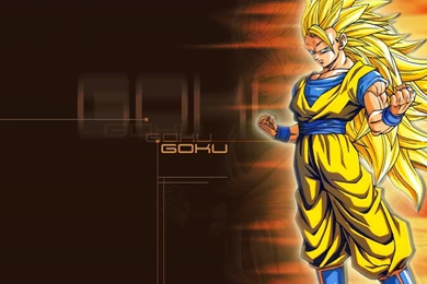 Goku Ssj3 Wallpapers   206102