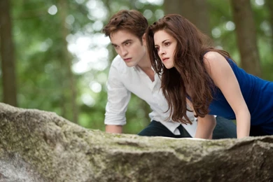 The Twilight Saga Breaking Dawn Part 2 Wallpapers   1680x1050   288912