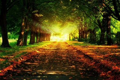 Sun Rays HD Wallpapers