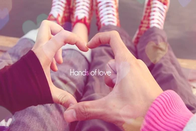 Swans In Love Making A Heart HD Wallpapers