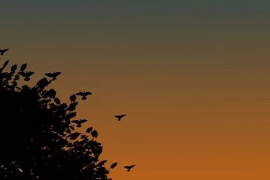 Android mobile wallpaper love images 720x1280 Couple in Love heart feelings heart wallpapers love wallpapers valentine wallpapers valentines day.jpg