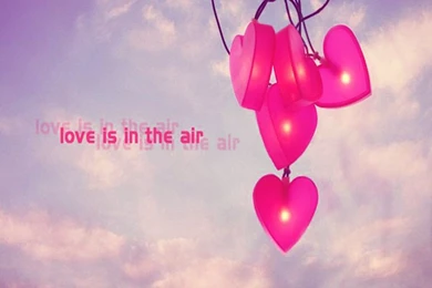 Love Is In The Air Wallpapers   Crazy Frankenstein