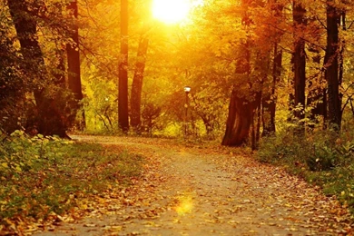 Romania HD Wallpapers, Romania Images Free, New Wallpapers