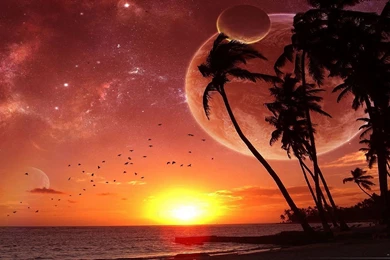 Nexus, Sunset, Beautiful, Images, Fantasy, Dragon, Wallpapers (