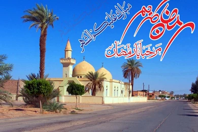 Free Wallpapers Download For Mobile Phones   Desktop Backgrounds