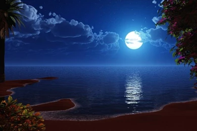Moon Reflecting In The Calm Oceans Wallpaper,digital Art HD ...